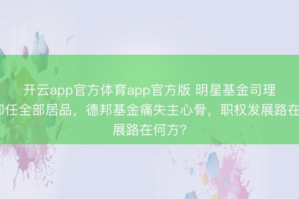 开云app官方体育app官方版 明星基金司理雷涛卸任全部居品，德邦基金痛失主心骨，职权发展路在何方？