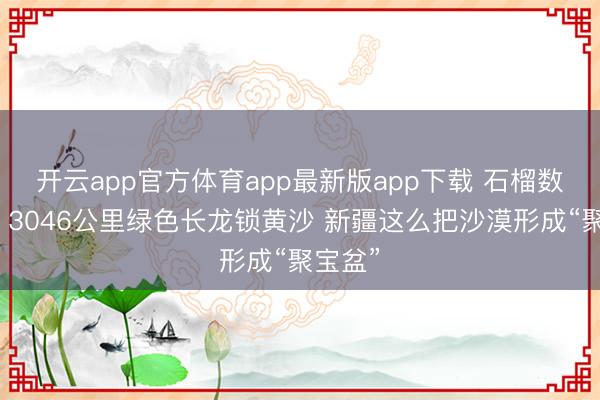 开云app官方体育app最新版app下载 石榴数据线丨3046公里绿色长龙锁黄沙 新疆这么把沙漠形成“聚宝盆”