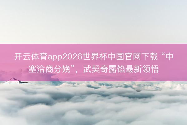 开云体育app2026世界杯中国官网下载 “中塞洽商分娩”,武契奇露馅最新领悟