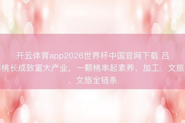 开云体育app2026世界杯中国官网下载 吕巷小蟠桃长成致富大产业，一颗桃串起素养、加工、文旅全链条